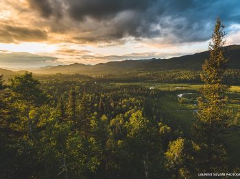 paysage-1